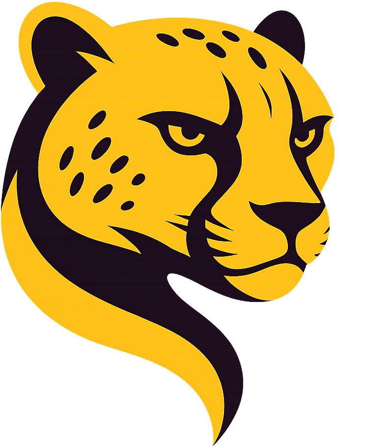 Cheetah Tool Pro - Activation ( 1 Year✅ )